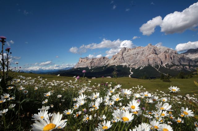 Immagine: vacanza in Alta Badia