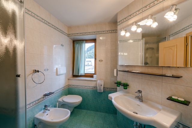 Our apartments in Corvara - dalaNat